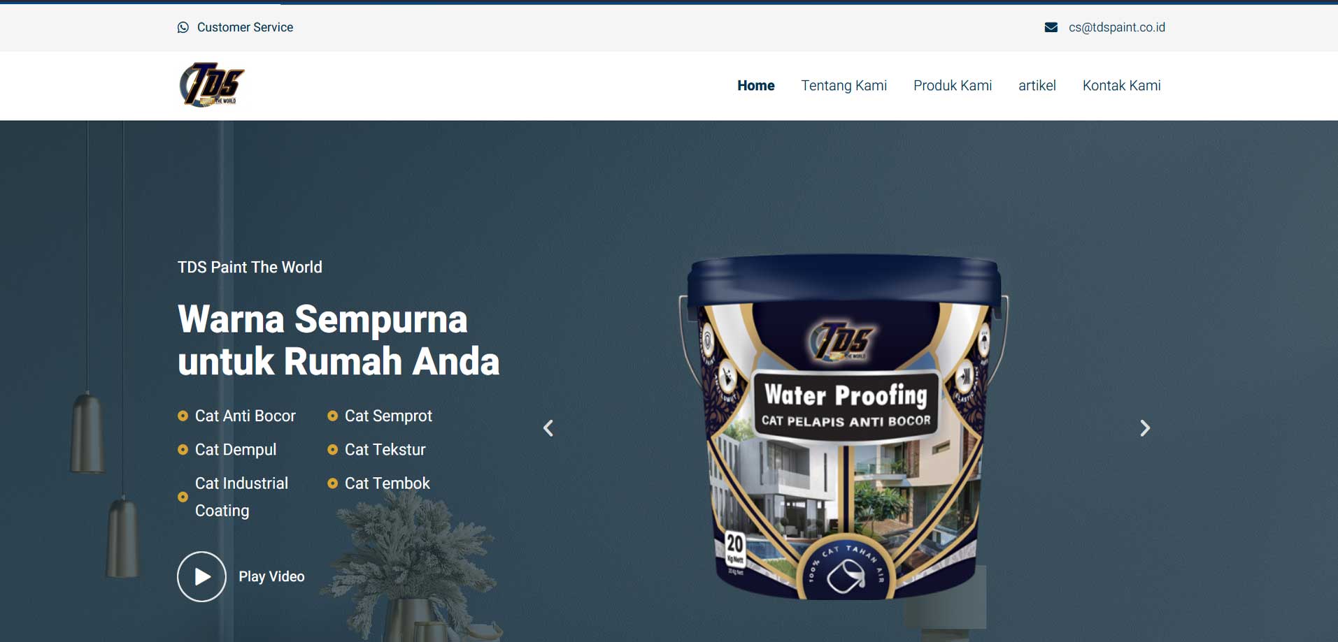 TDS Paint
